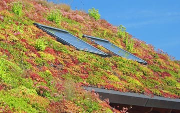 Bassingbourn living roof systems